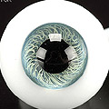 PW 18mm Kiwi blue