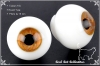 【TW／HG】16mm Glass Doll Eyes # Wood Brown