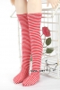 MSD Knee Socks_MS 05 ( White Red Stripe )