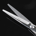 Y117．(Hair Cutting) 6 Regular Convex Edge Hairdressing Scissors