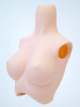 Volks（DD2）DDII-B-01 M Bust