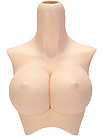 Volks（DD2）DDII-B-04 L Shapely Bust