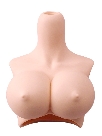 Volks DDdy-B-02 Shapely Bust