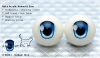 22mm／Meta Acrylic Animetic Eyes (WD-03) Dodger Blue