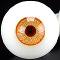 16MM_Ambe／BK (R)
