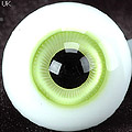 D24 - 16mm Vivid Green