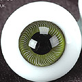 D24 - 14mm Lemon Green